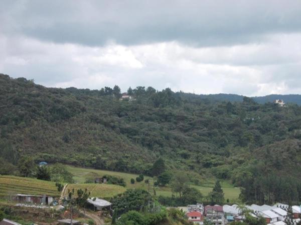 Hotel Chua Gin Cameron Highlands Eksteriør billede